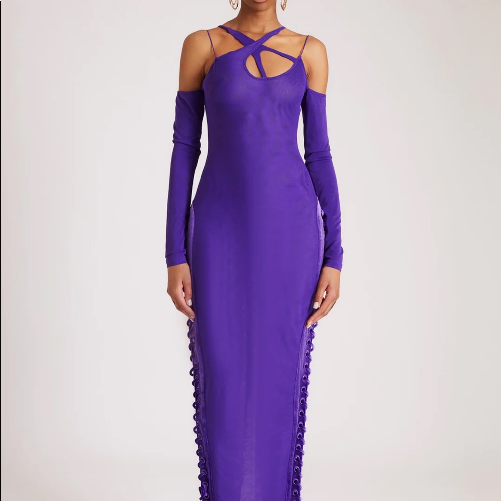 BBXBRAND Dragon Egg Mesh Maxi Dress